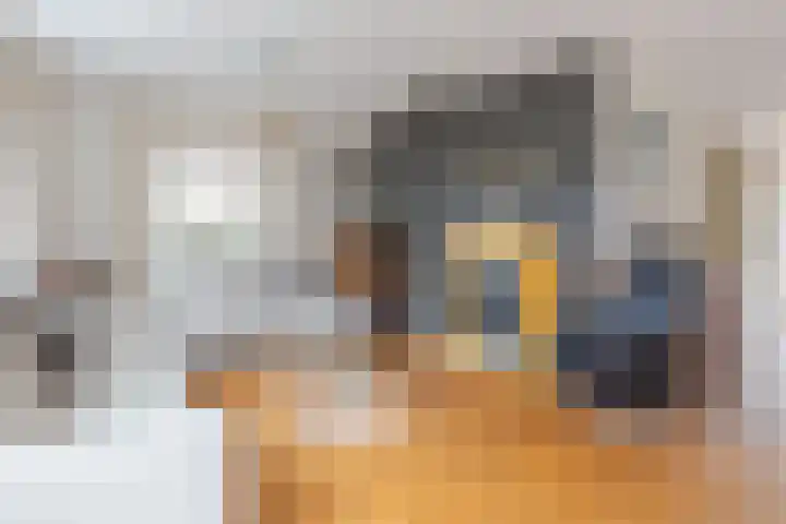 De Snikke 11 Wolvega thumbnail 16
