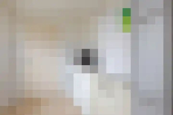 De Snikke 11 Wolvega thumbnail 22