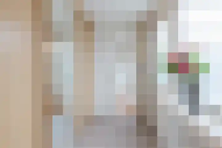 De Snikke 11 Wolvega thumbnail 23