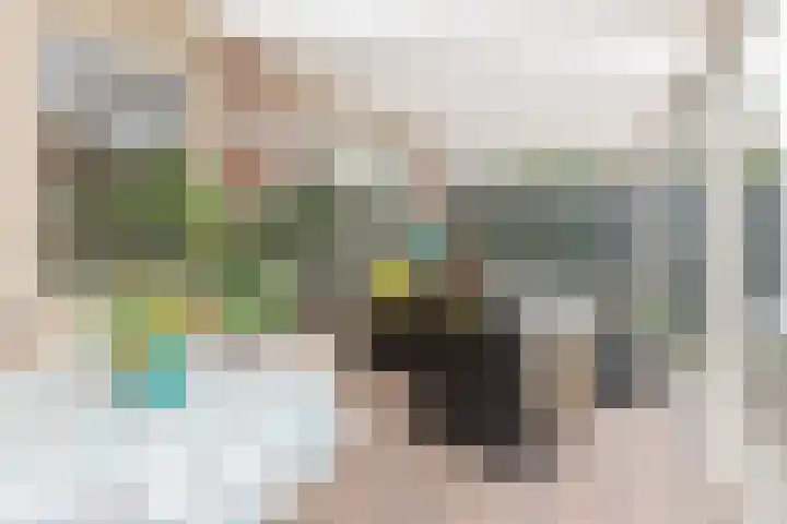 De Snikke 11 Wolvega thumbnail 26