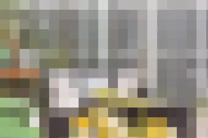 De Snikke 11 Wolvega thumbnail 27