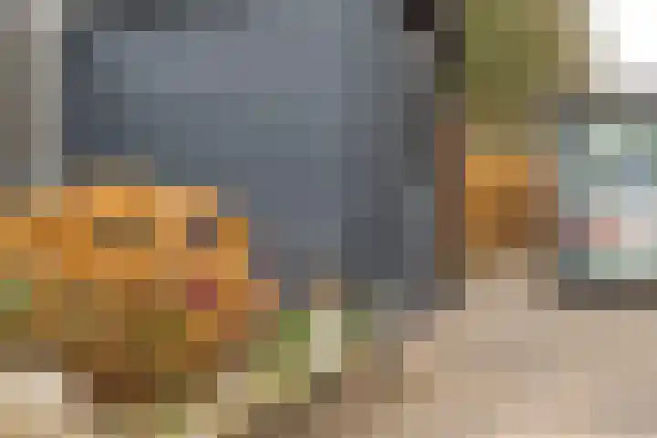 De Snikke 11 Wolvega thumbnail 43