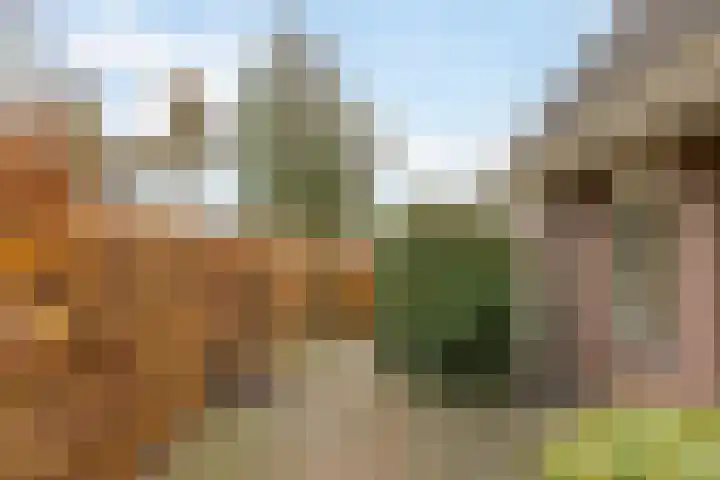 De Snikke 11 Wolvega thumbnail 44
