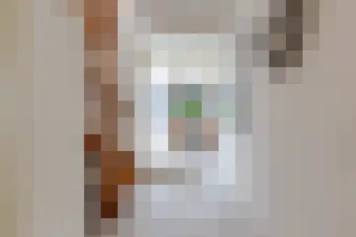 De Snikke 11 Wolvega thumbnail 8