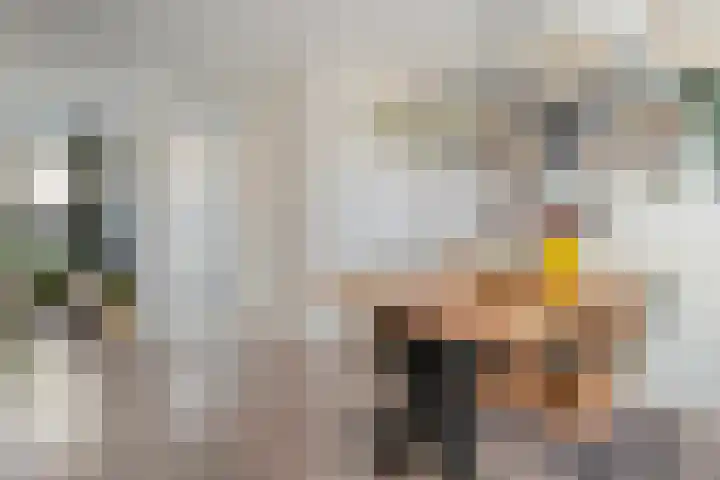 De Snikke 12 Hoogeveen thumbnail 16