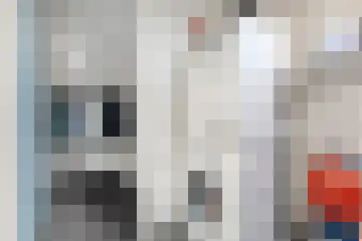 De Snikke 12 Hoogeveen thumbnail 30
