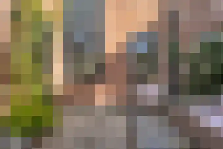 De Snikke 12 Hoogeveen thumbnail 31