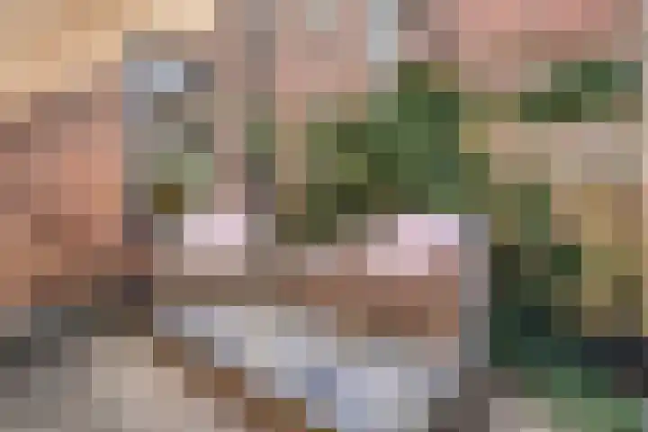 De Snikke 12 Hoogeveen thumbnail 32