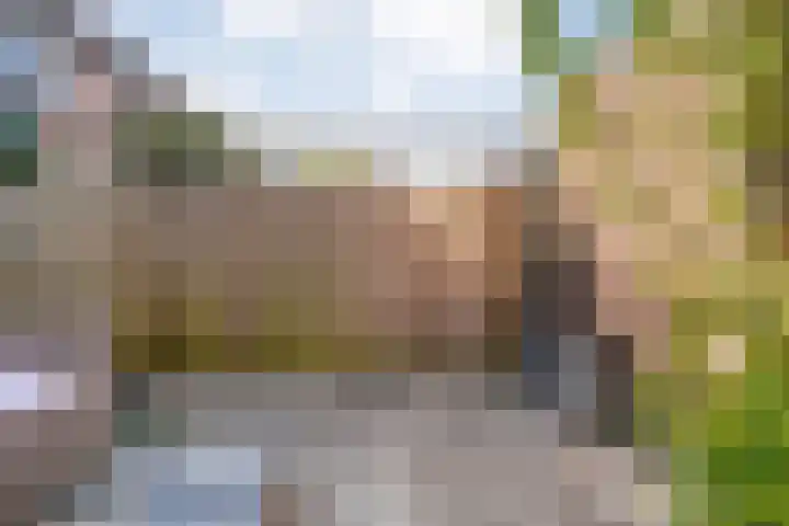 De Snikke 12 Hoogeveen thumbnail 33