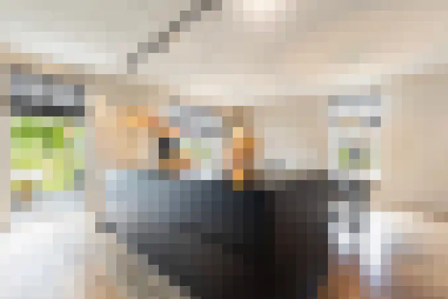 De Snikke 19 Berltsum thumbnail 13
