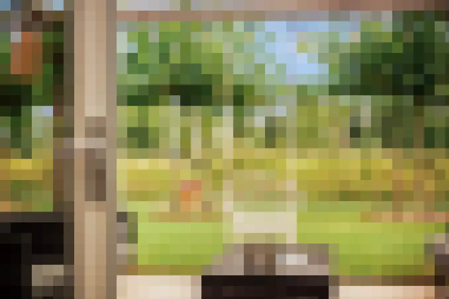 De Snikke 19 Berltsum thumbnail 18
