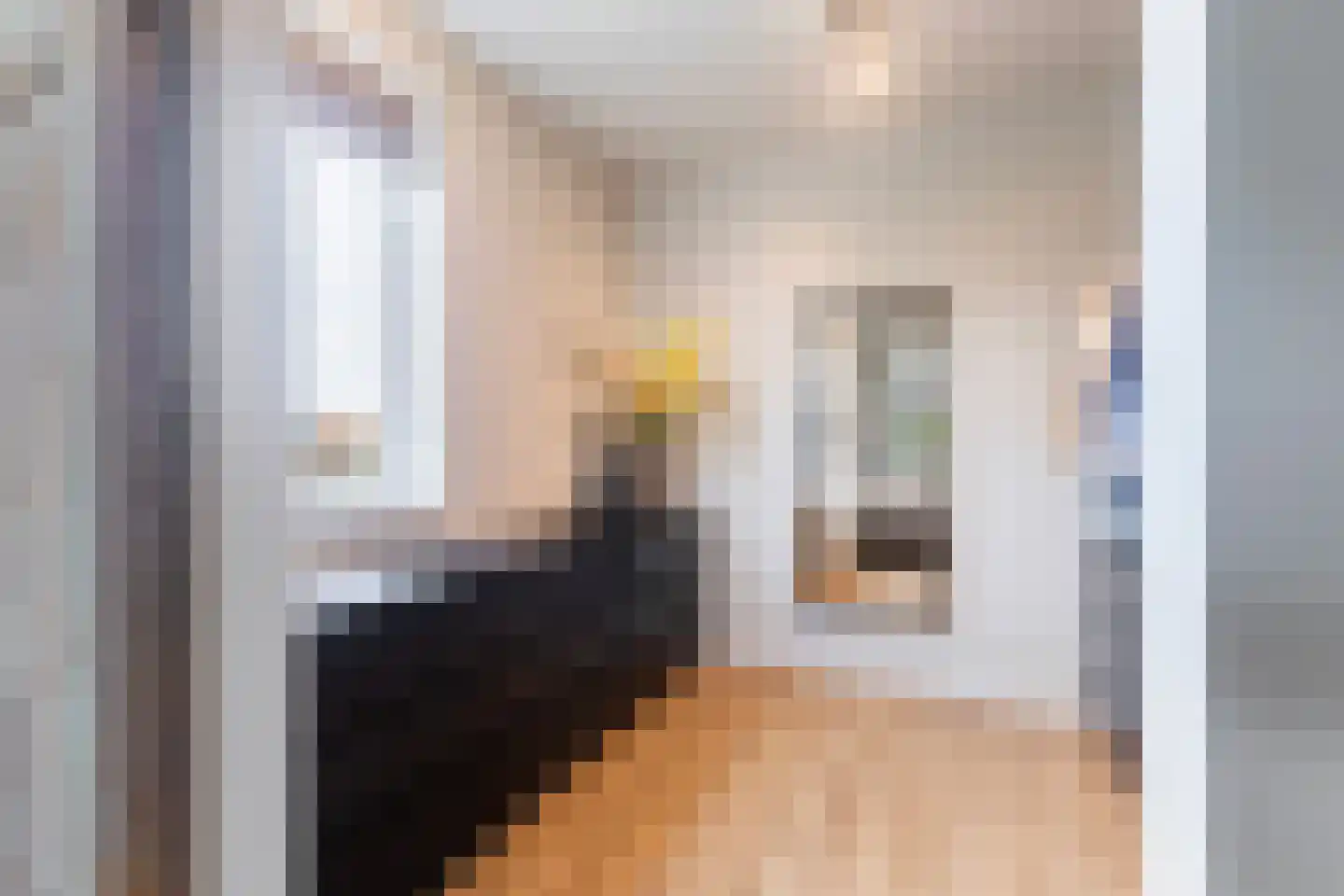De Snikke 19 Berltsum thumbnail 25