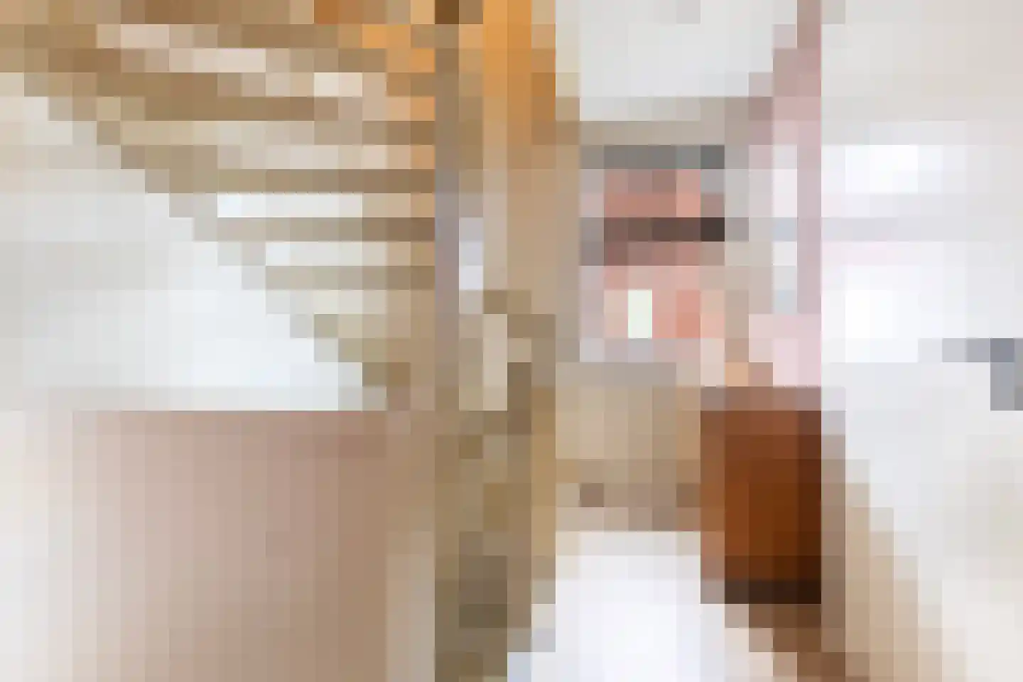 De Snikke 19 Berltsum thumbnail 33
