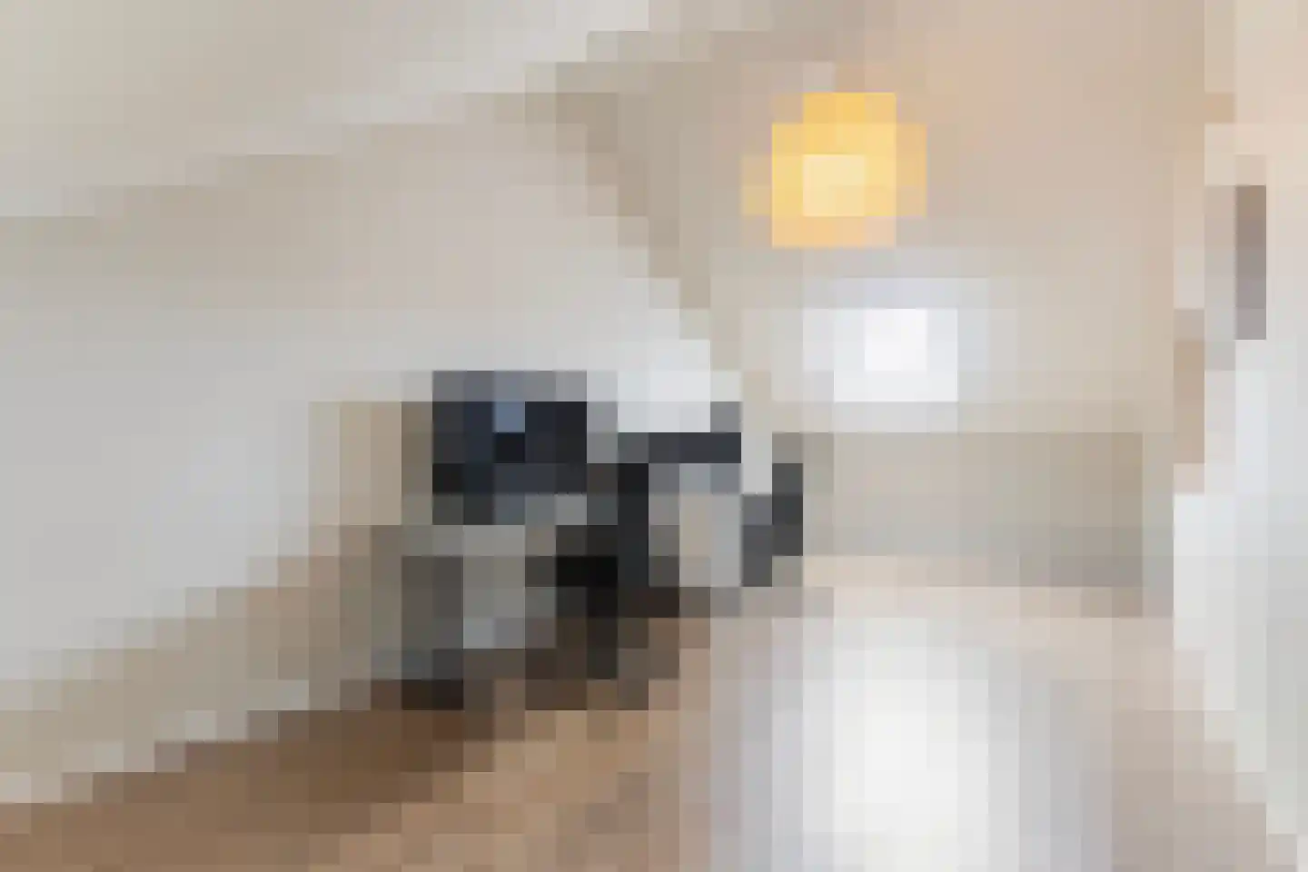 De Snikke 19 Berltsum thumbnail 35