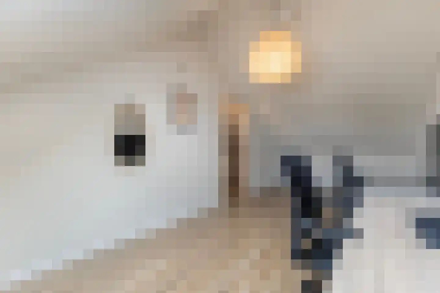 De Snikke 19 Berltsum thumbnail 36