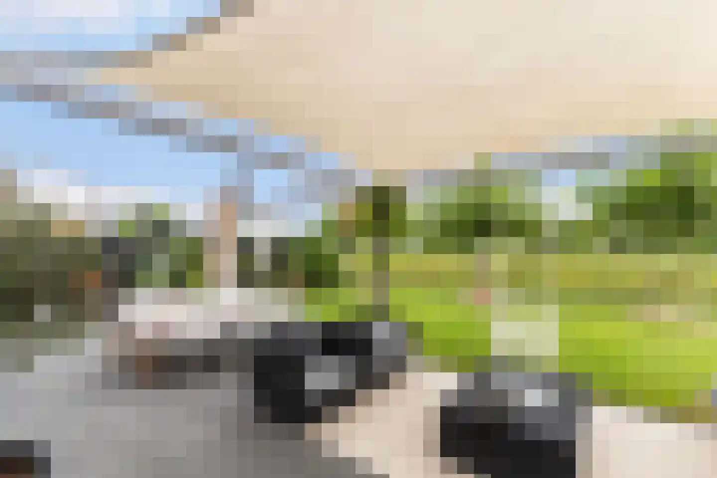 De Snikke 19 Berltsum thumbnail 40