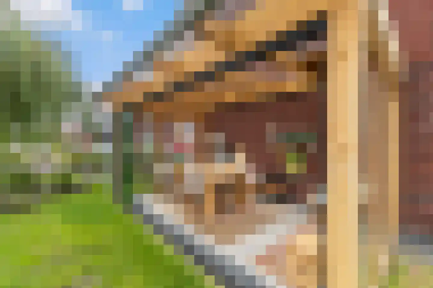 De Snikke 19 Berltsum thumbnail 44