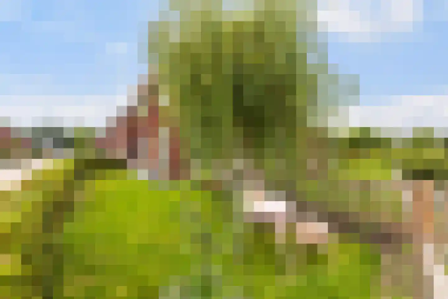 De Snikke 19 Berltsum thumbnail 47