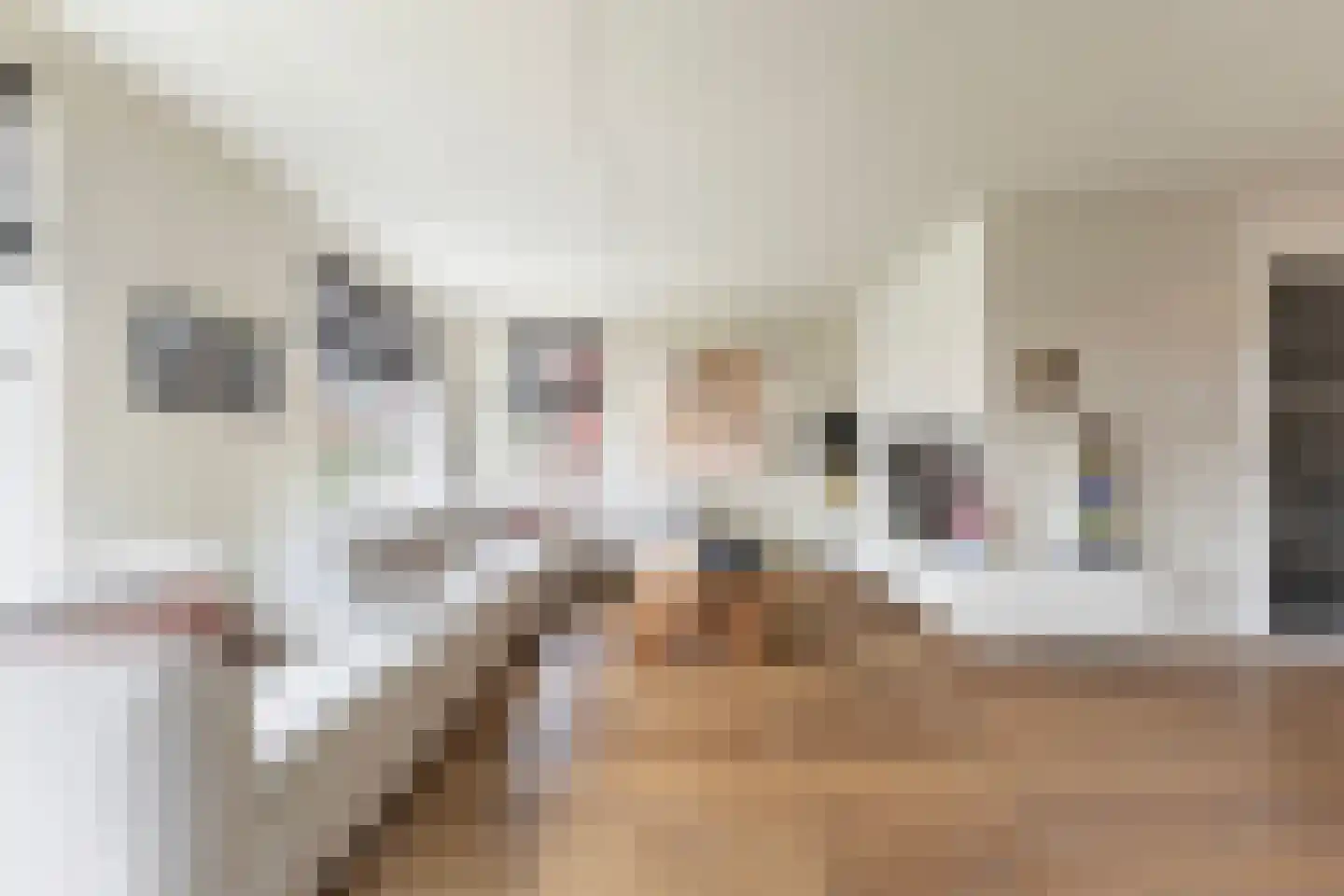 De Snikke 19 Berltsum thumbnail 6
