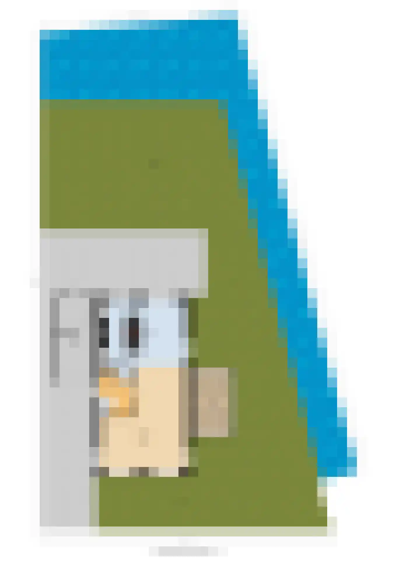 De Snikke 19 Berltsum thumbnail 65