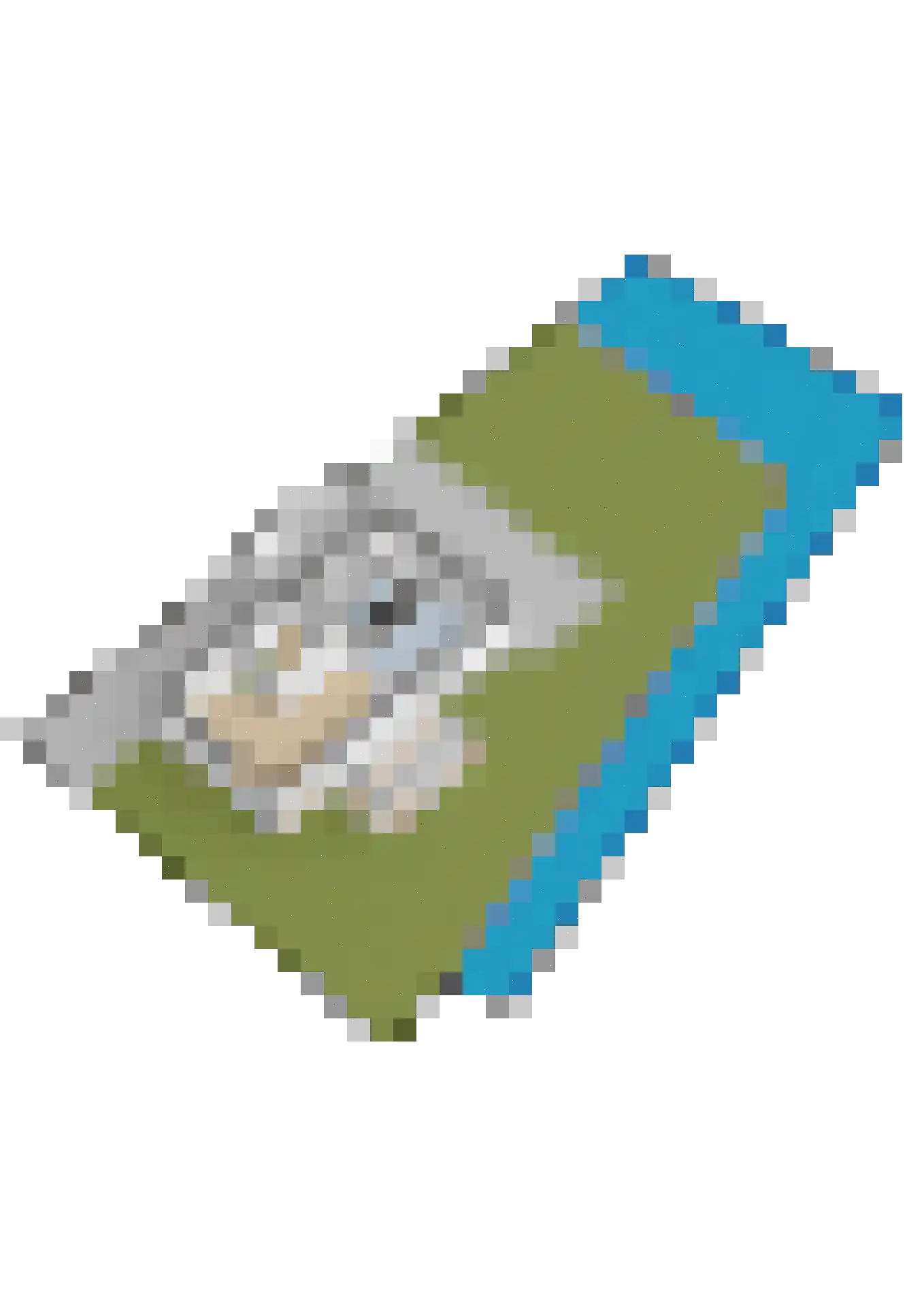 De Snikke 19 Berltsum thumbnail 66
