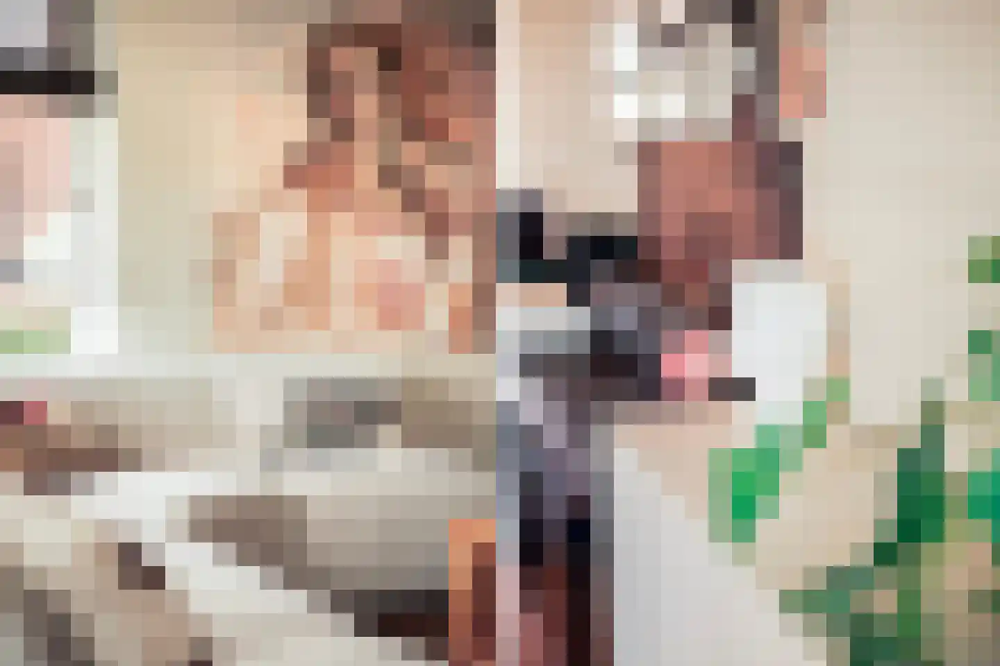 De Snikke 19 Berltsum thumbnail 7