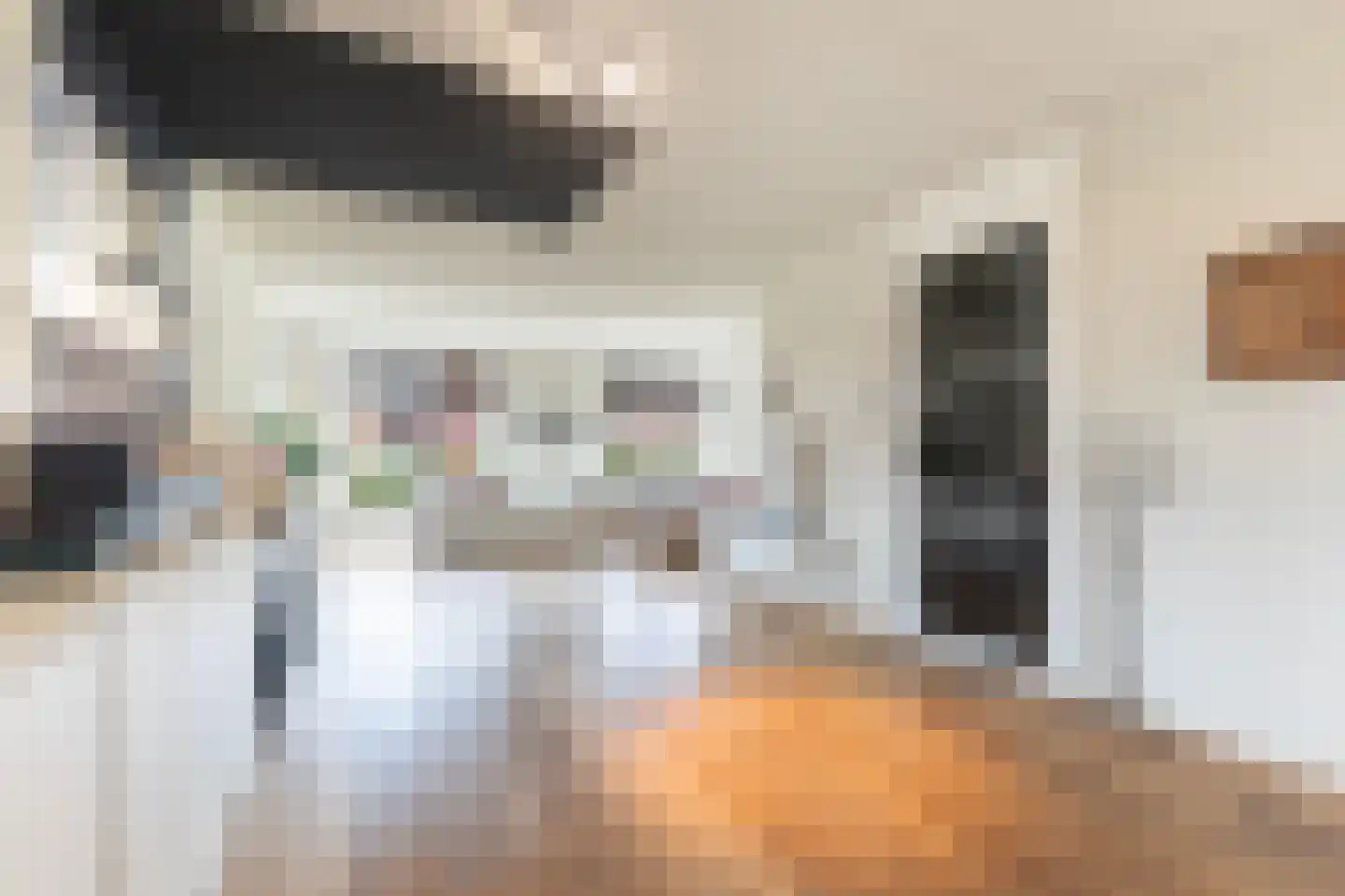 De Snikke 19 Berltsum thumbnail 9