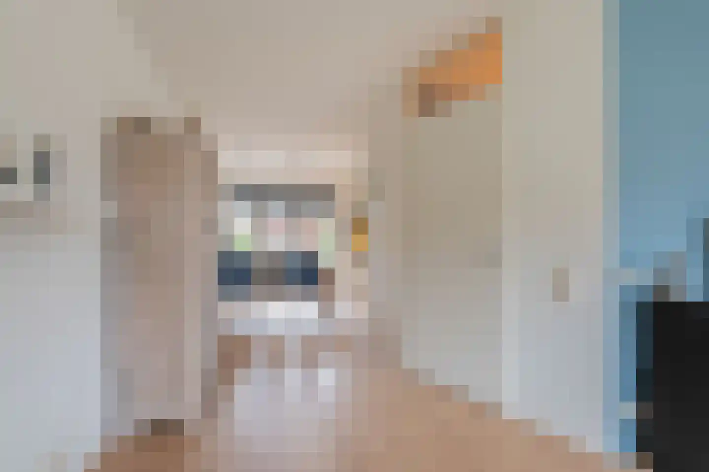 De Snikke 6 't Haantje thumbnail 14