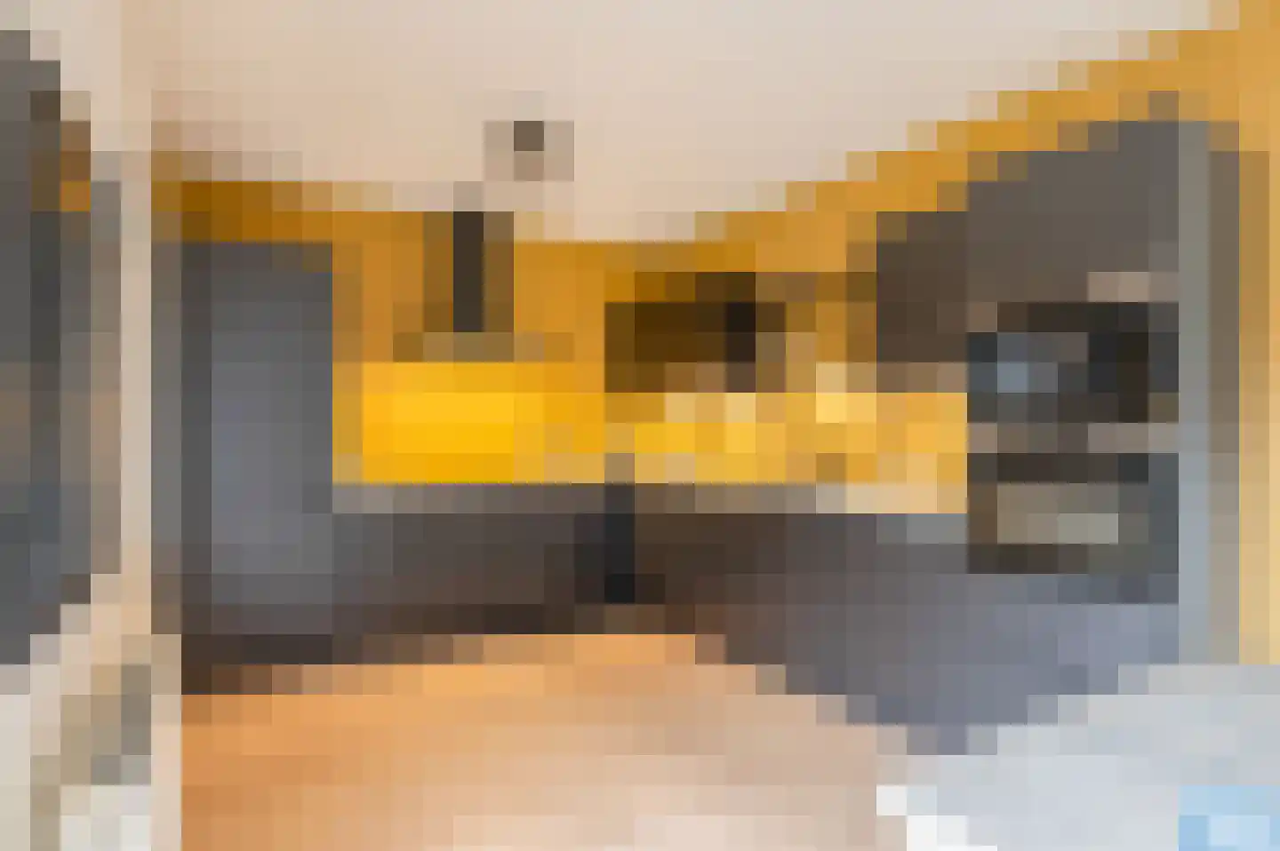 De Snikke 6 't Haantje foto 3