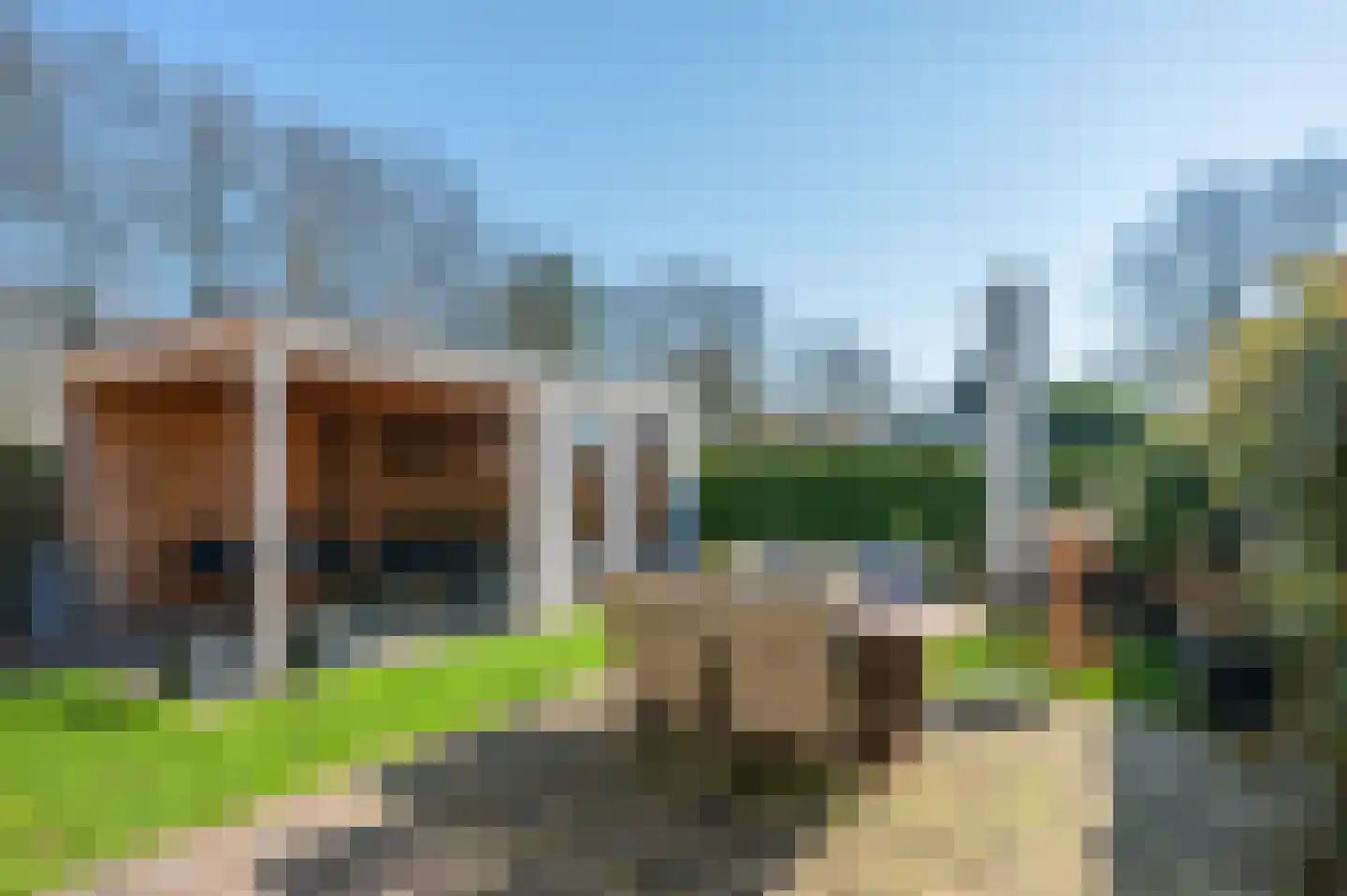 De Snikke 6 't Haantje thumbnail 48