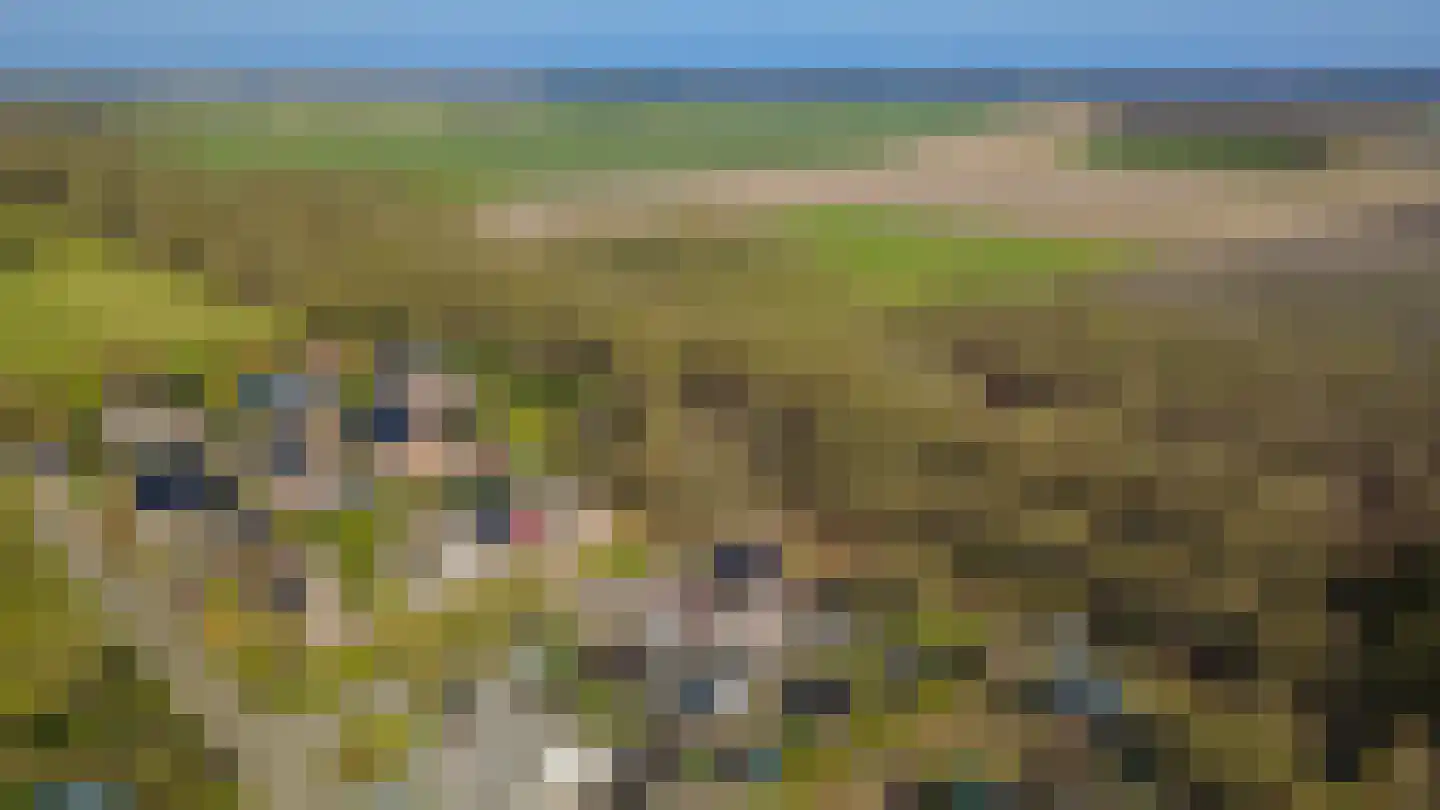De Snikke 6 't Haantje thumbnail 56