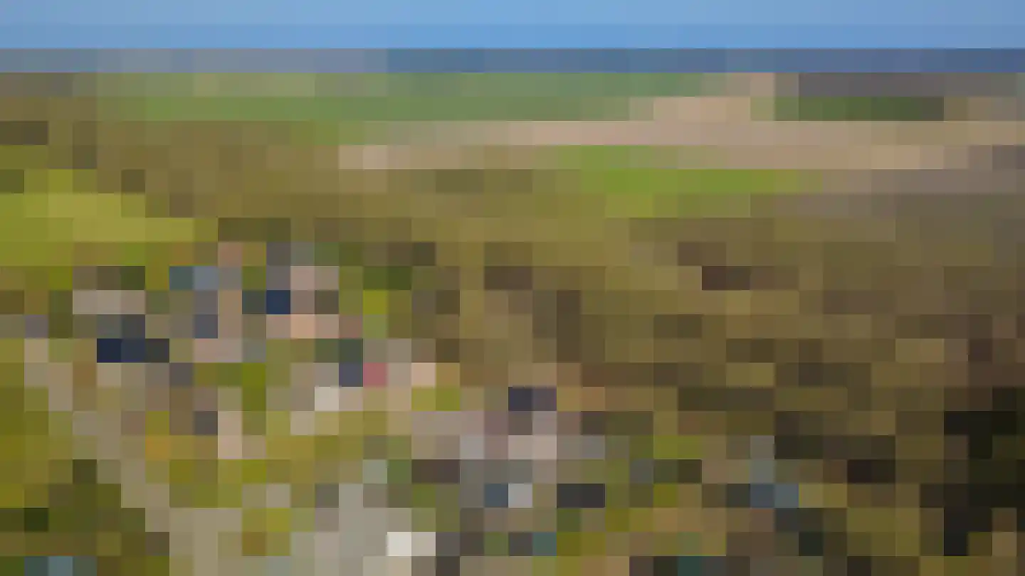 De Snikke 6 't Haantje thumbnail 56