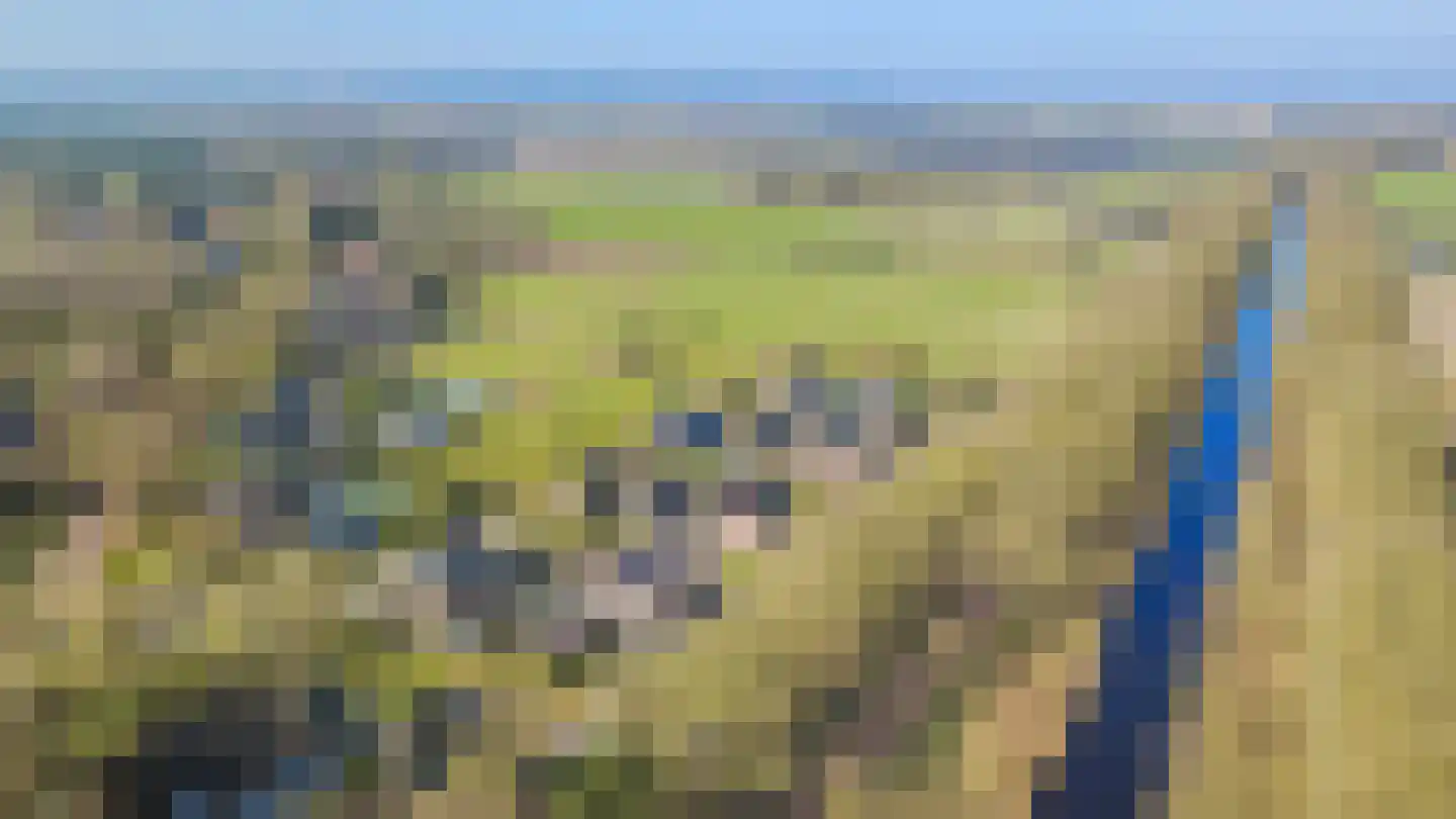 De Snikke 6 't Haantje thumbnail 57