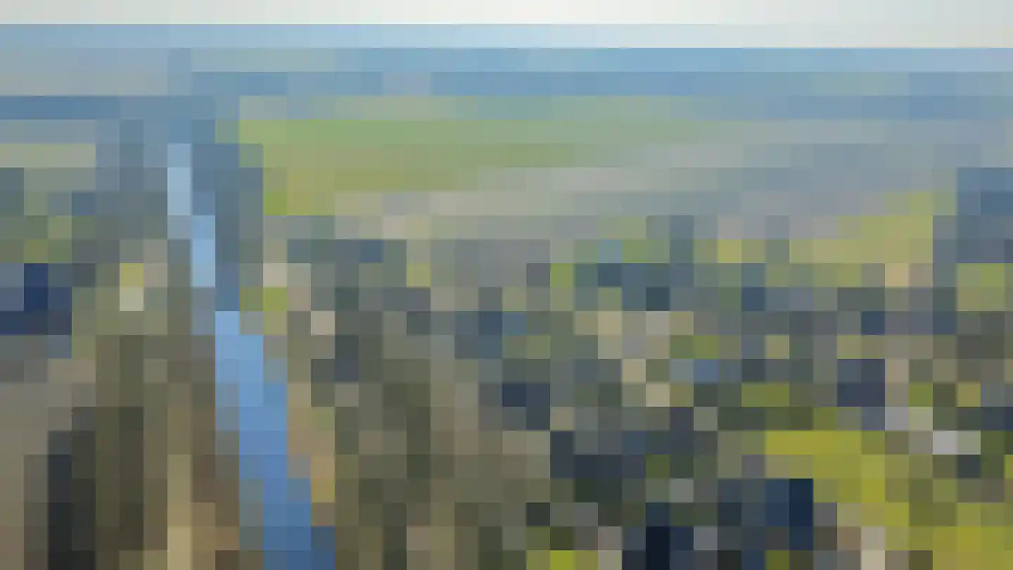 De Snikke 6 't Haantje thumbnail 58
