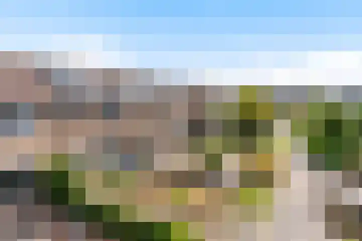 De Snikke 7 Hallum thumbnail 36