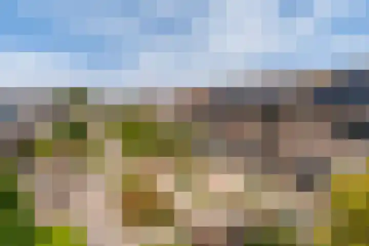De Snikke 7 Hallum thumbnail 37