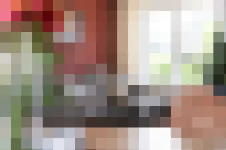 De Snikke 7 Hallum thumbnail 9
