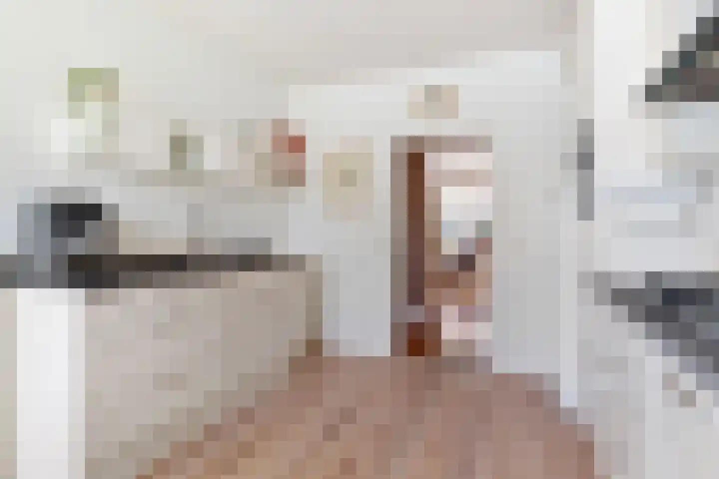 De Snikke 8 Mitselwier thumbnail 13