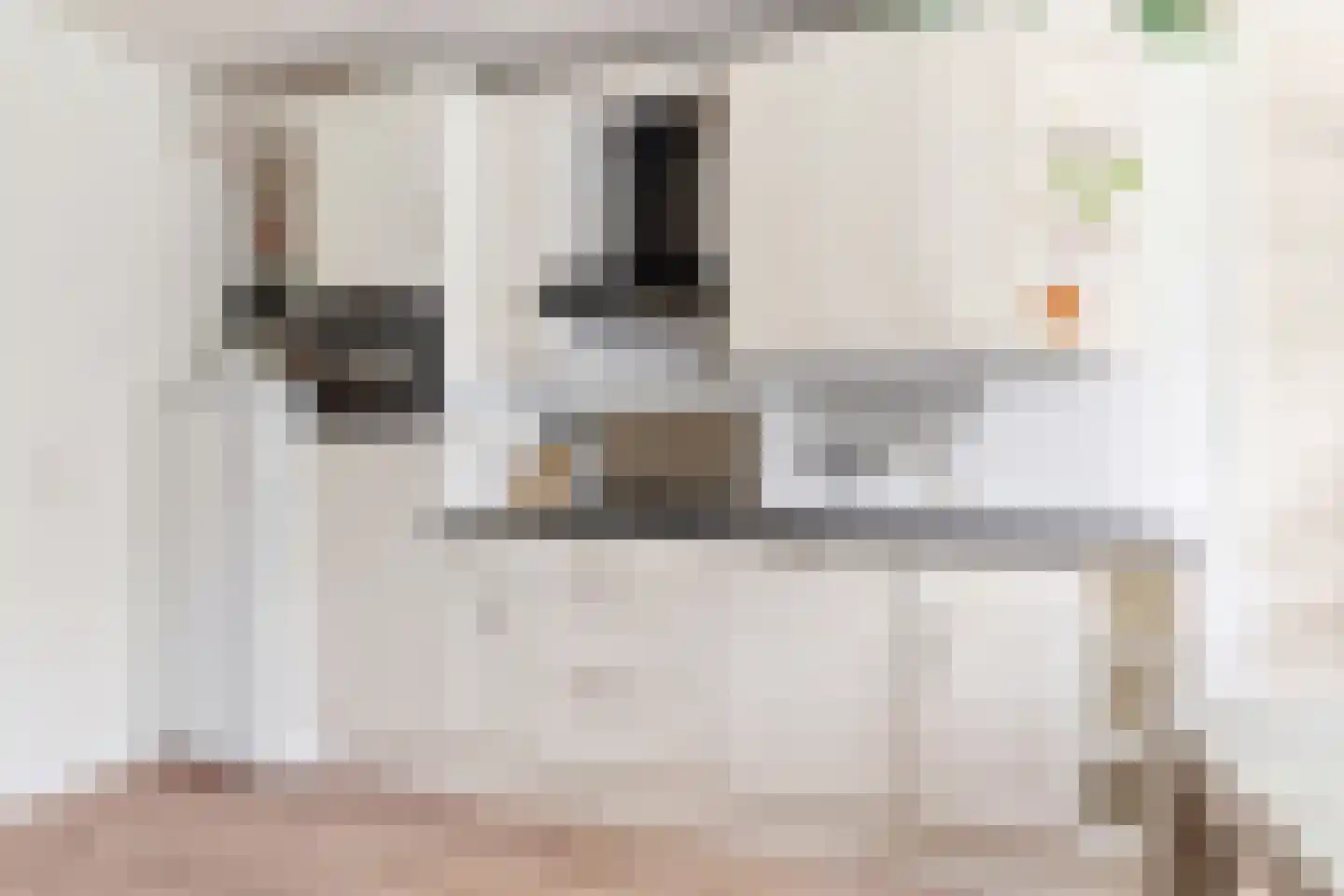 De Snikke 8 Mitselwier thumbnail 14