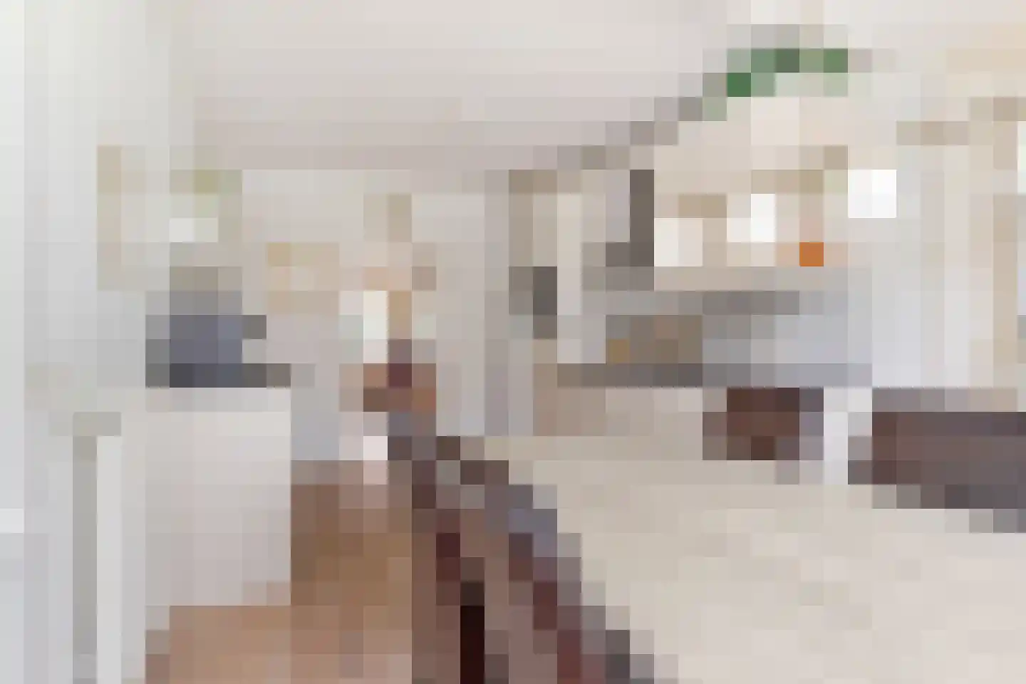 De Snikke 8 Mitselwier thumbnail 15