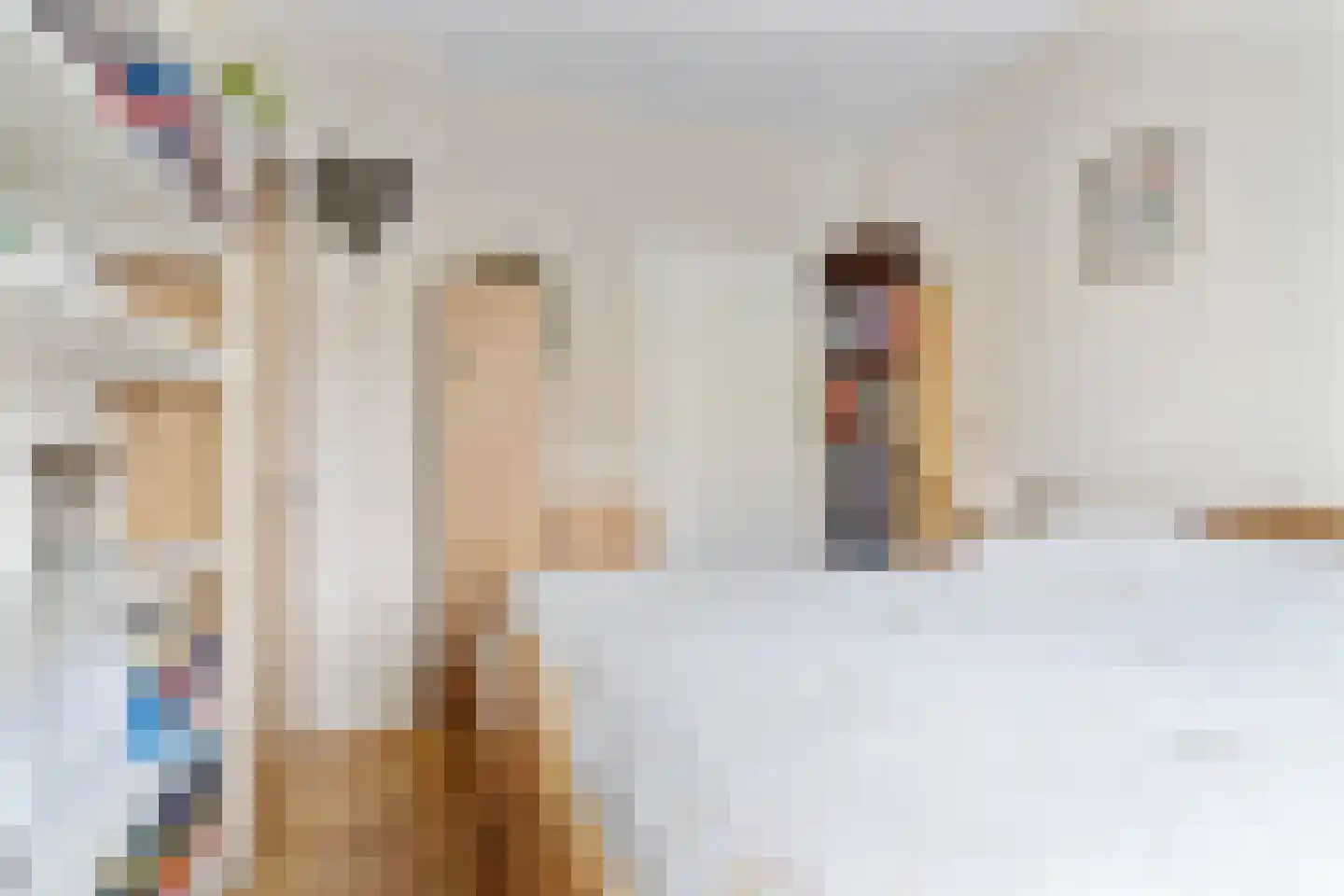 De Snikke 8 Mitselwier thumbnail 17