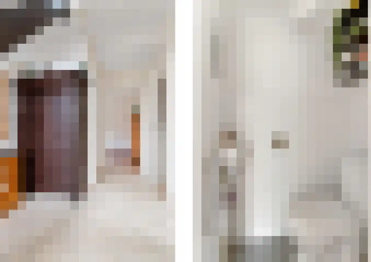 De Snikke 8 Mitselwier thumbnail 19
