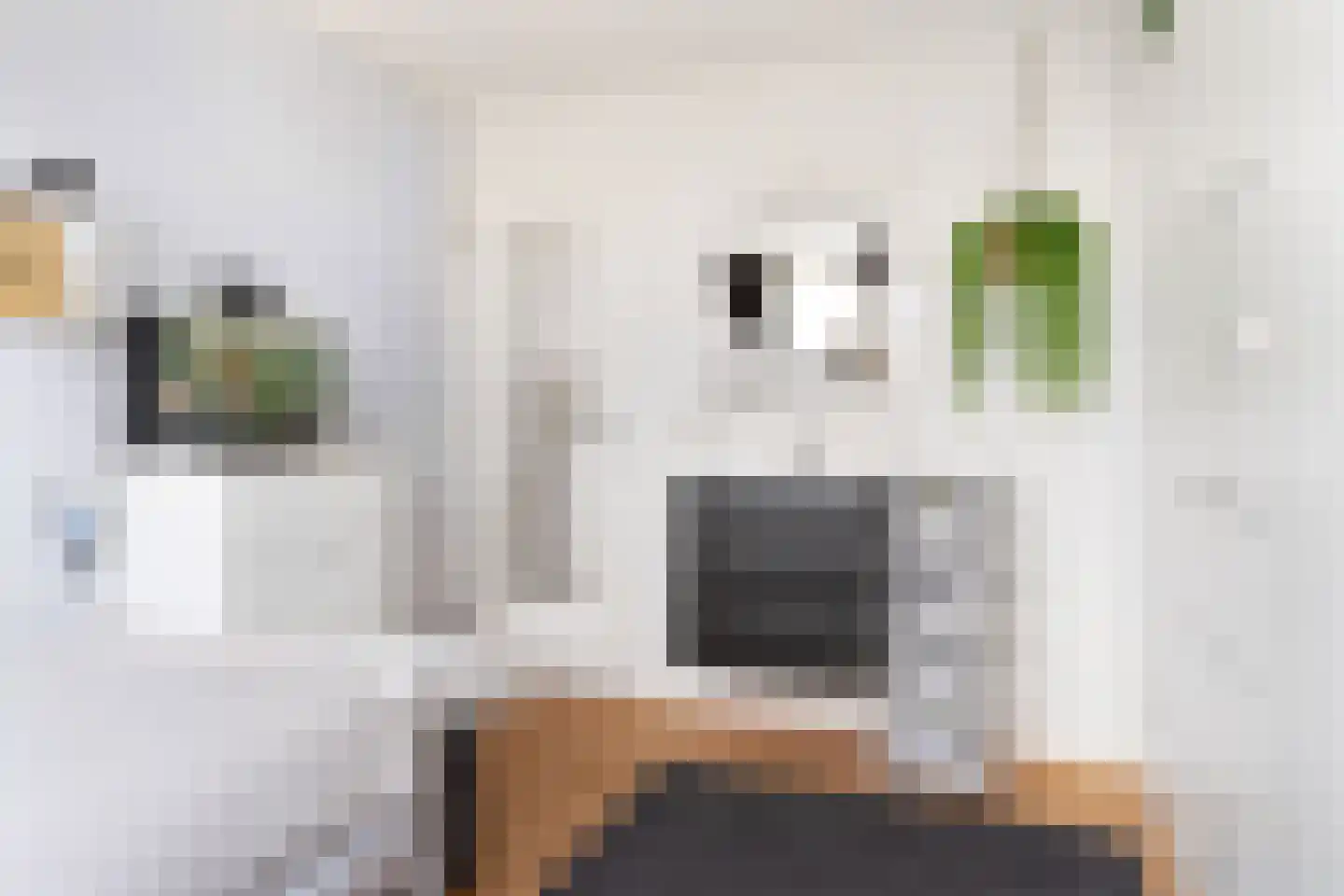 De Snikke 8 Mitselwier thumbnail 21