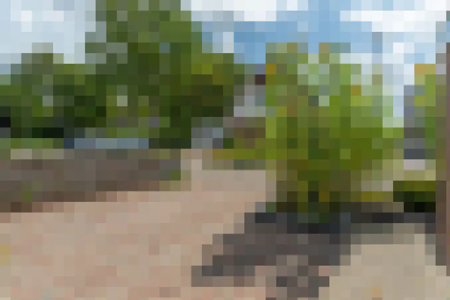 De Snikke 8 Mitselwier thumbnail 34