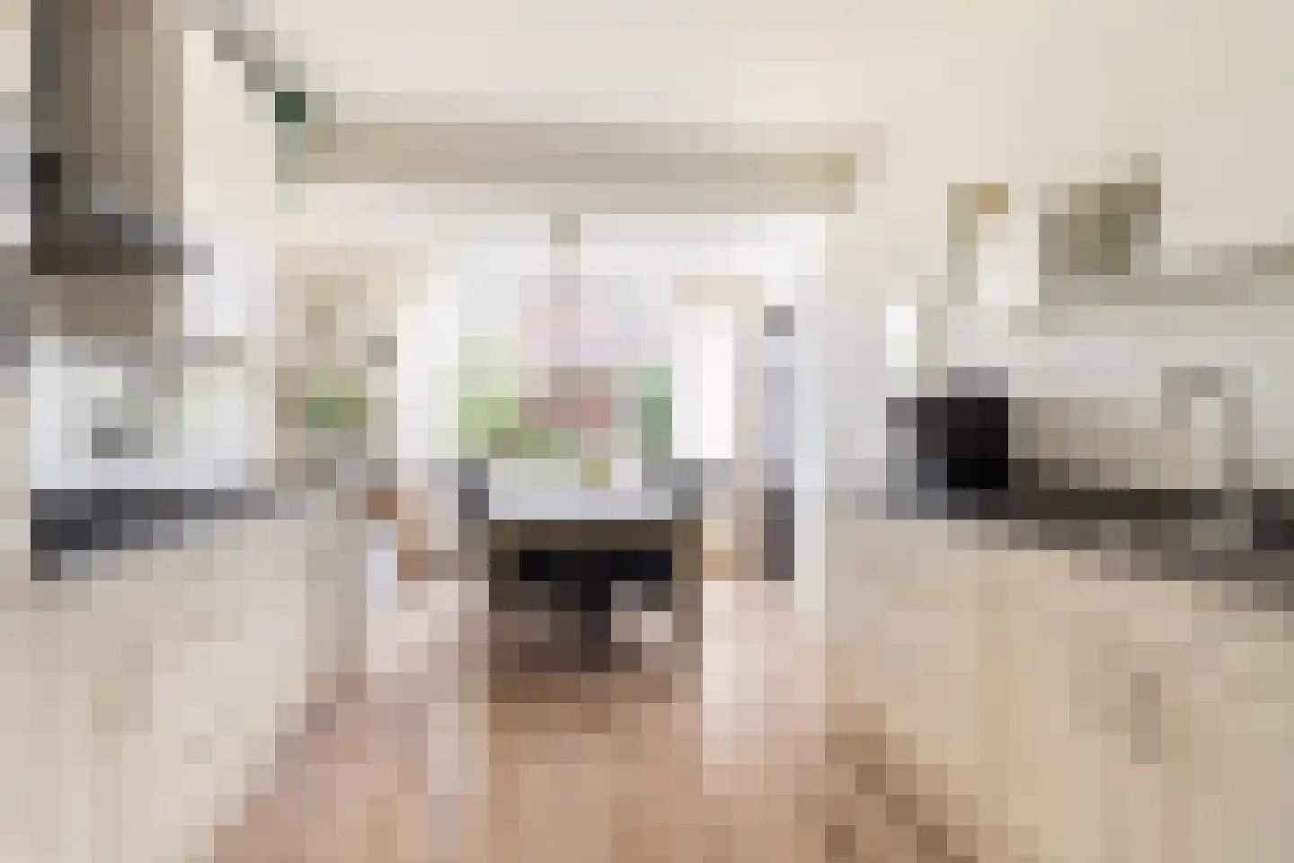 De Snikke 8 Mitselwier thumbnail 5
