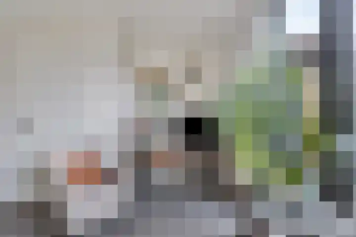 De Snit 13 Swifterbant thumbnail 14