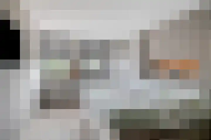 De Snit 13 Swifterbant thumbnail 23