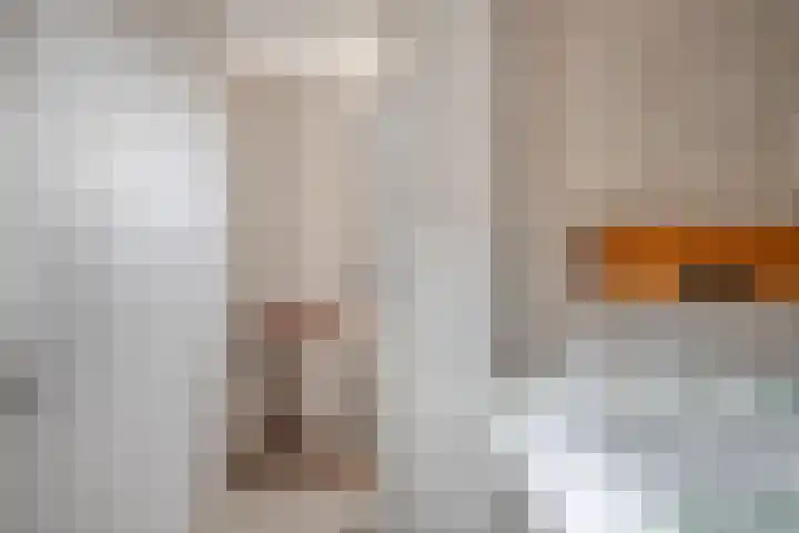 De Snit 13 Swifterbant thumbnail 25