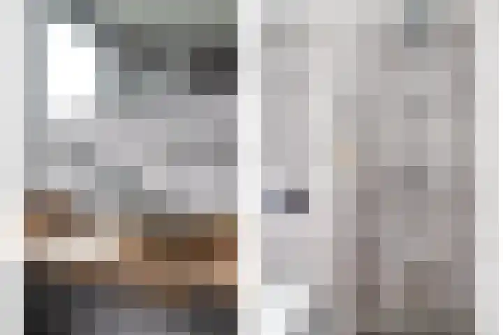 De Snit 13 Swifterbant thumbnail 30