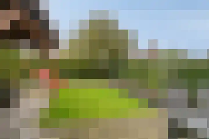 De Snit 13 Swifterbant thumbnail 35